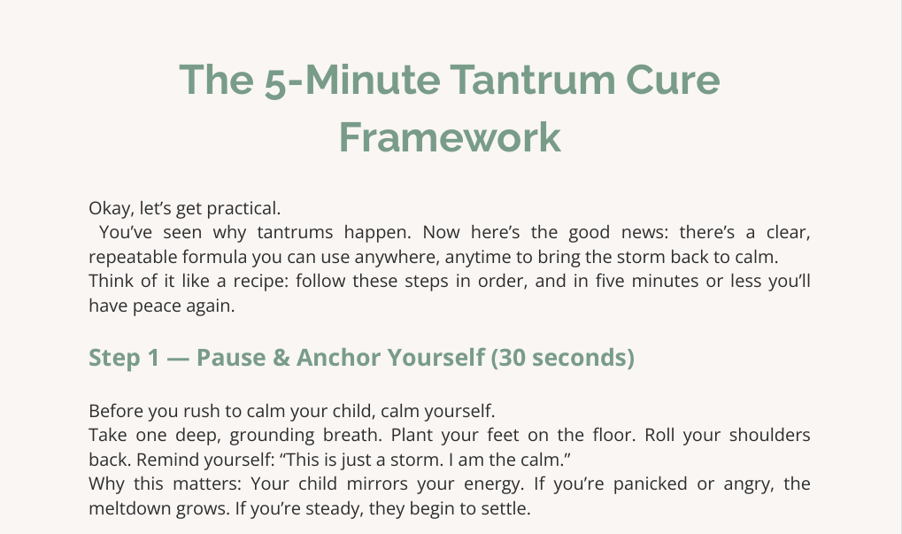 the 5 minute toddler tantrum cure the 5 minute toddler tantrum cure